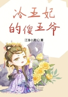 《冷王的倾城傻妃》